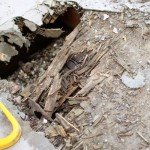 Dry-rot deck repair solana beach project