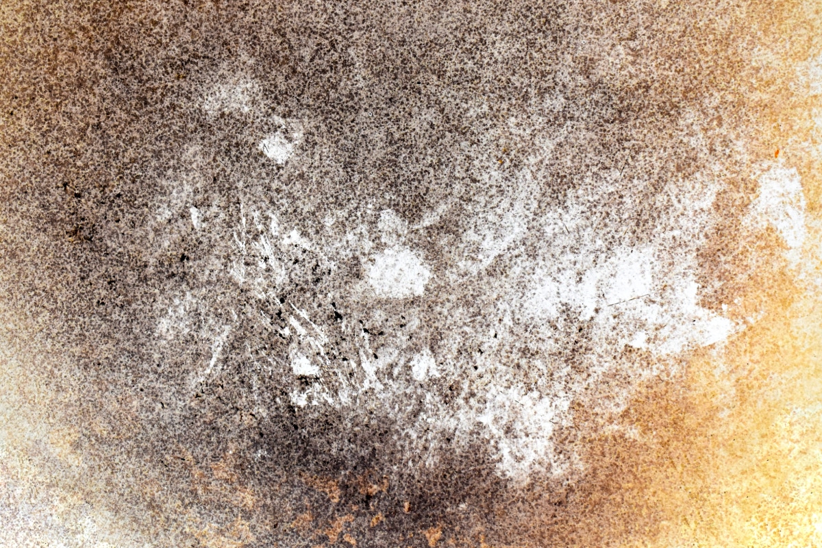 waterproof deck coating mildew